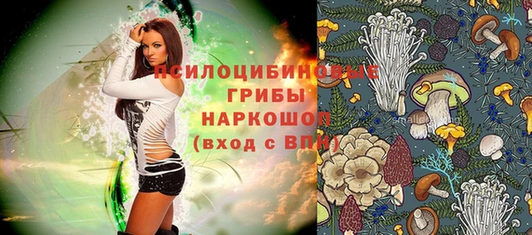 гидра Михайловка