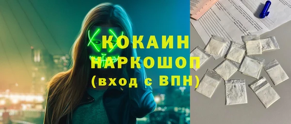 гидра Михайловка