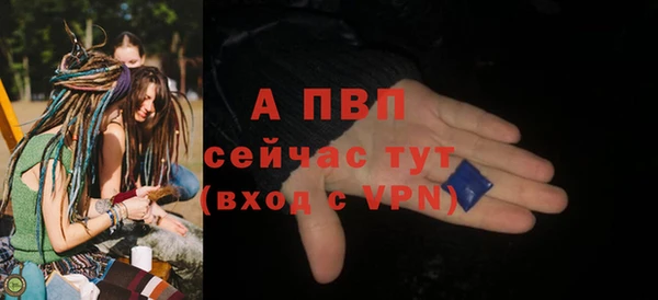 гидра Михайловка