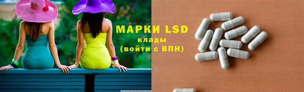 гидра Михайловка