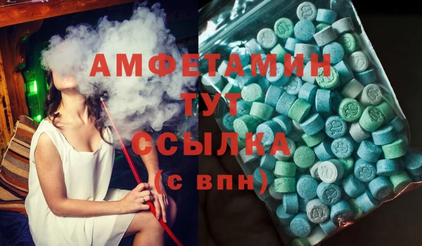 гидра Михайловка