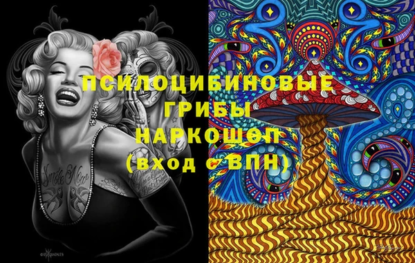 гидра Михайловка