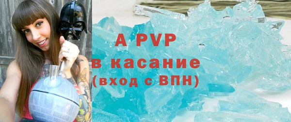 гидра Михайловка