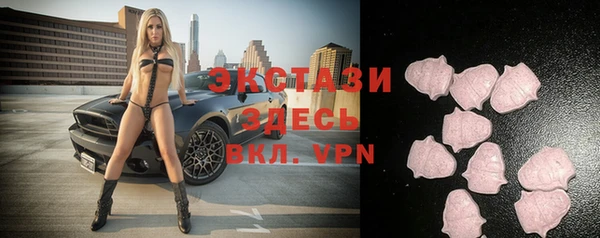 гидра Михайловка