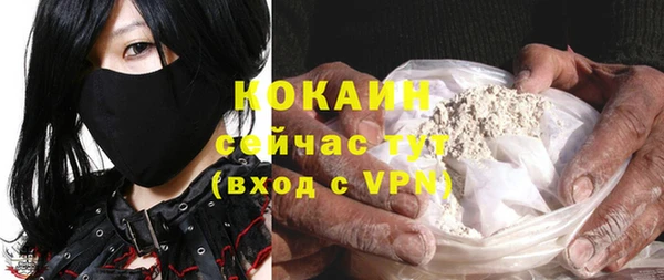 гидра Михайловка