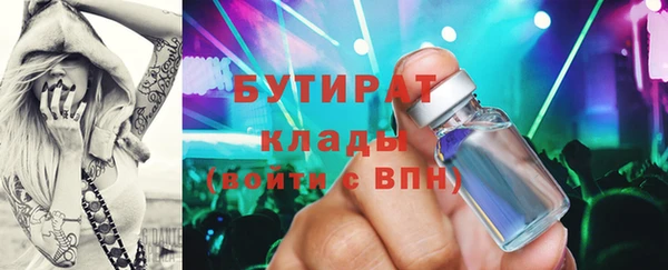 гидра Михайловка