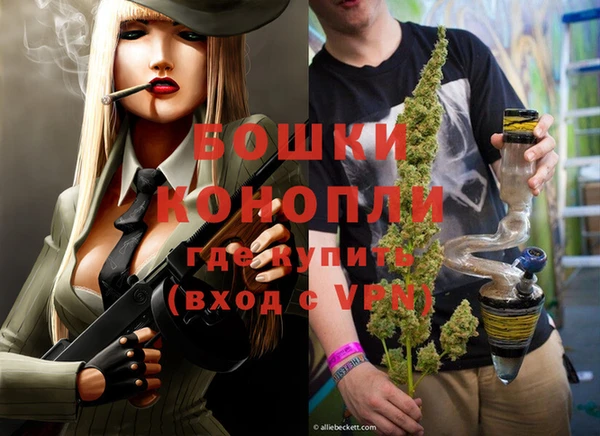 гидра Михайловка