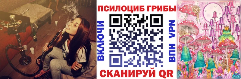 Галлюциногенные грибы MAGIC MUSHROOMS  где найти   omg зеркало  Приволжск 